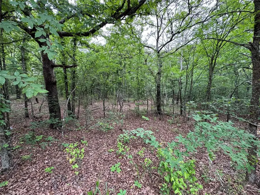 365 Road, Wewoka, OK 74884 - #3