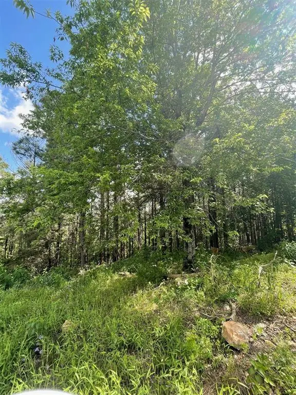 39 Alder Place, Broken Bow, OK 74728 - #3