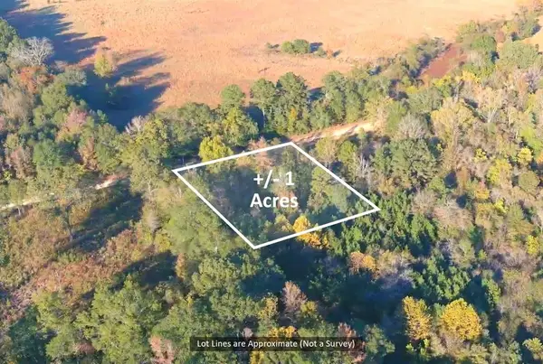 0 Butler Road, Haworth, OK 74740