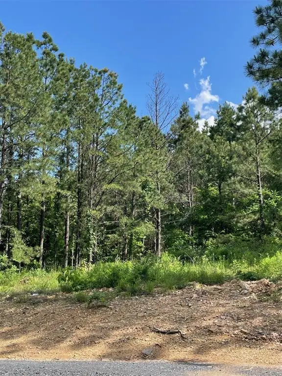 164 Timberline Trail, Broken Bow, OK 74728 - #2