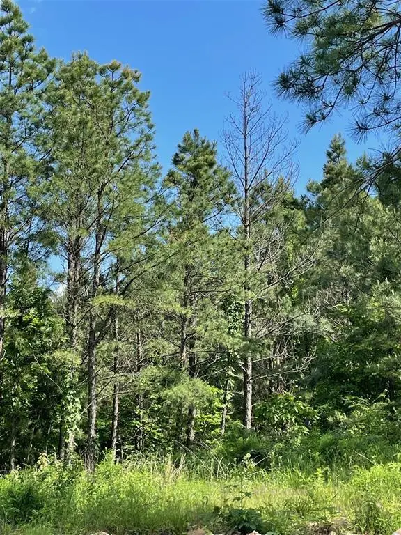 164 Timberline Trail, Broken Bow, OK 74728 - #3
