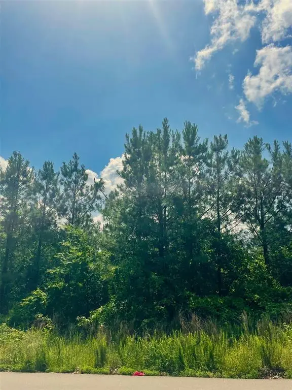 364 Sugarberry Trail, Broken Bow, OK 74728 - #1