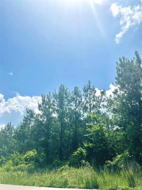 364 Sugarberry Trail, Broken Bow, OK 74728 - #2