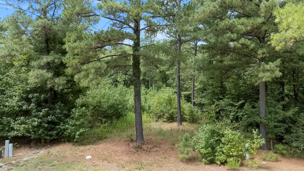 179 Coffee Tree Trail, Broken Bow, OK 74728 - #1