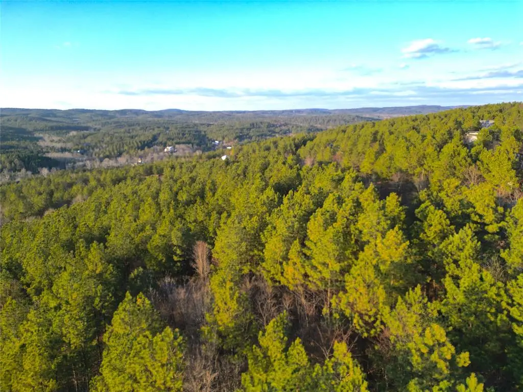 484 Lukfata Fork Trail, Broken Bow, OK 74728 - #1