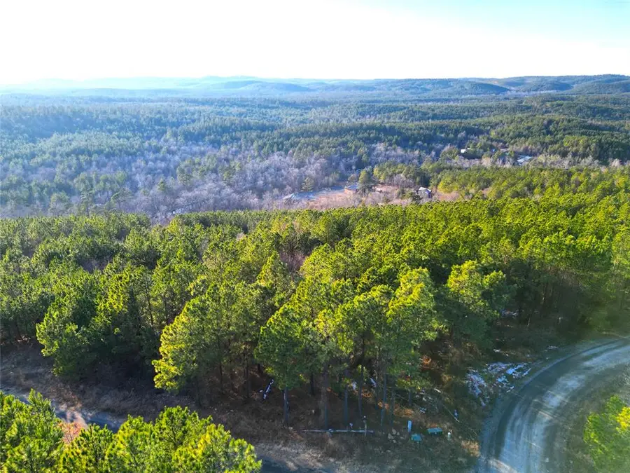 484 Lukfata Fork Trail, Broken Bow, OK 74728 - #3
