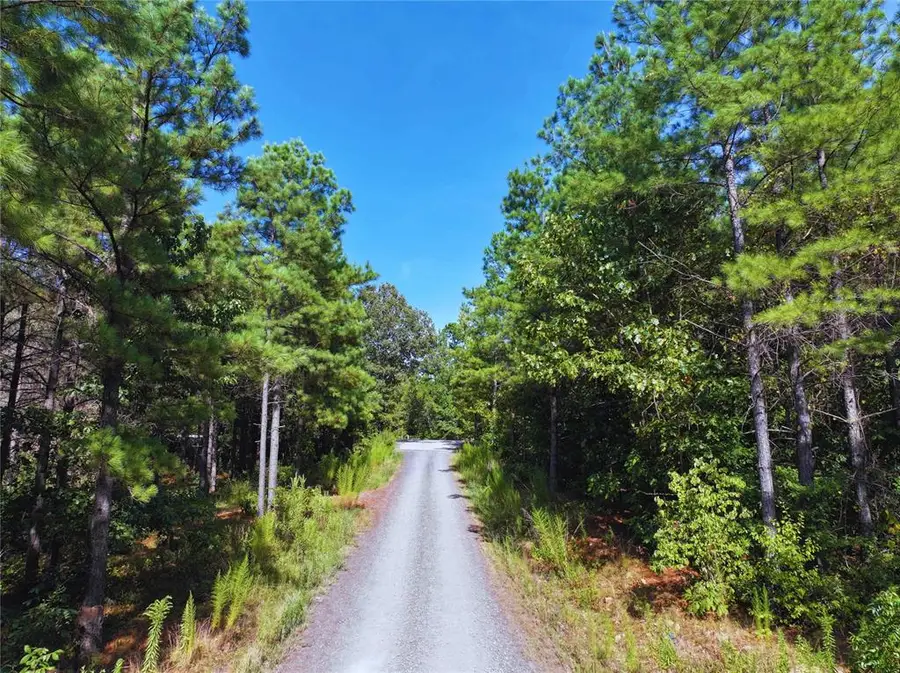 20 Mission Fig Trail, Broken Bow, OK 74728 - #2