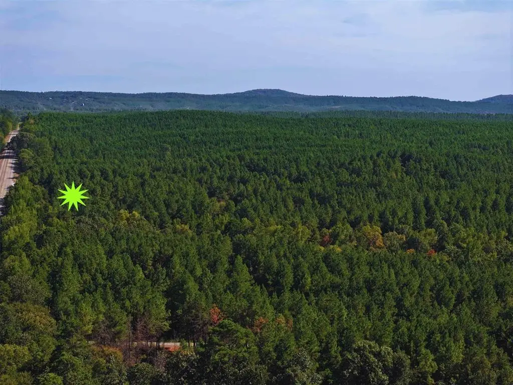 32 Wayward Pine Trl Trail, Broken Bow, OK 74728 - #1