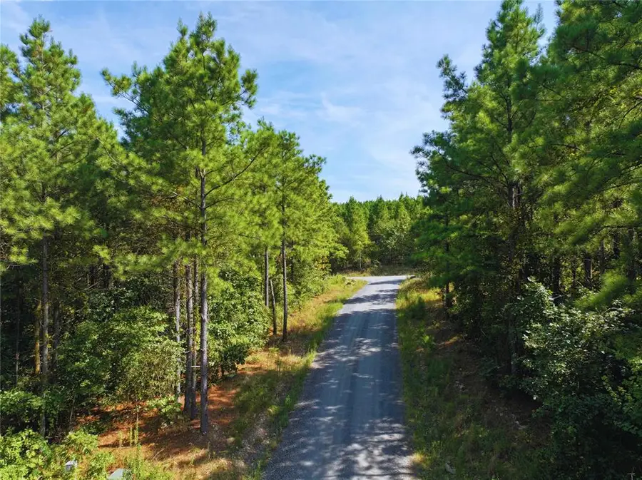 32 Wayward Pine Trl Trail, Broken Bow, OK 74728 - #2