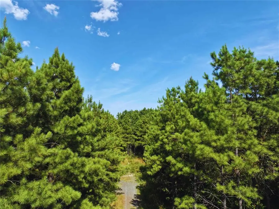 32 Wayward Pine Trl Trail, Broken Bow, OK 74728 - #3