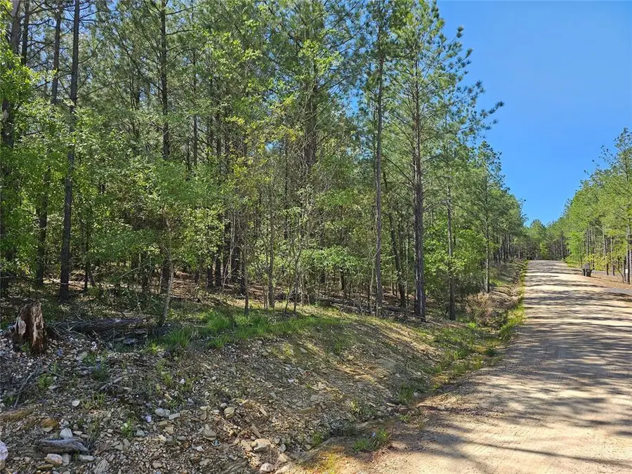 401 Hochapine Trail, Broken Bow, OK 74728 - #2