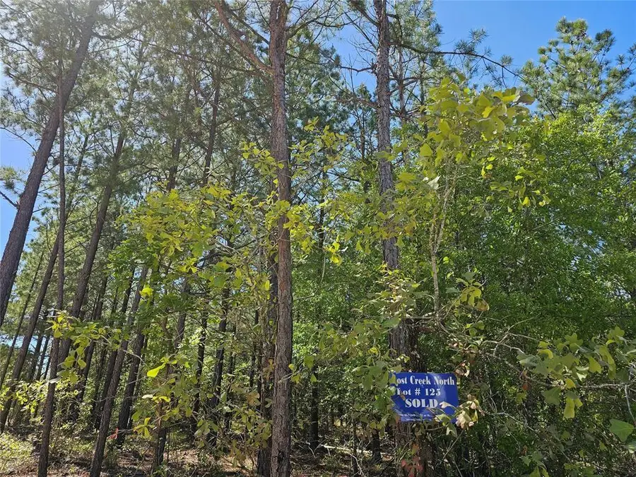 401 Hochapine Trail, Broken Bow, OK 74728 - #3