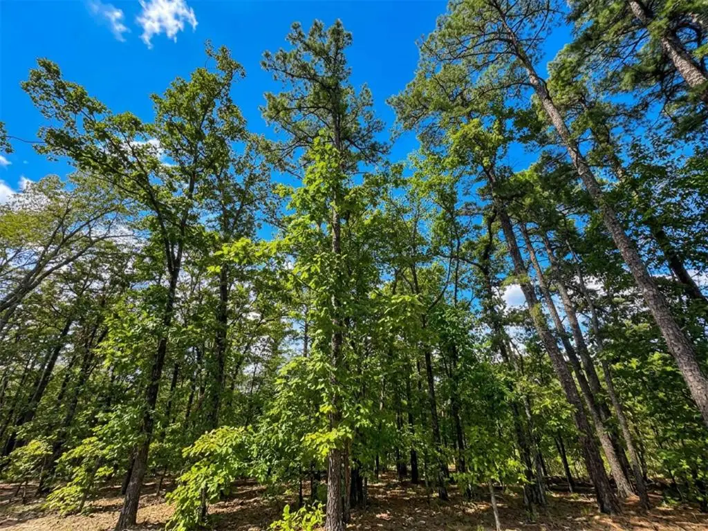 1054 Carter Mountain Trail, Broken Bow, OK 74728 - #1