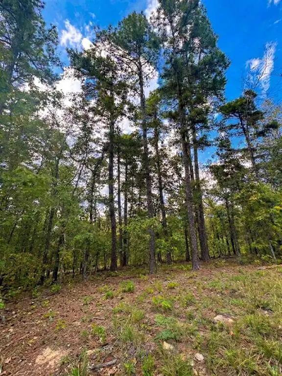 1054 Carter Mountain Trail, Broken Bow, OK 74728 - #2
