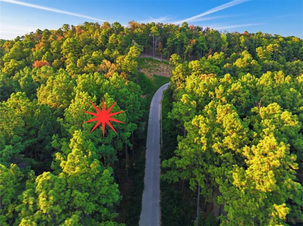 317 Western Pine Trail, Broken Bow, OK 74728 - #1