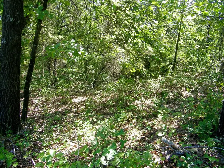 Howard Avenue, East Cleveland, OK 73051 - #3