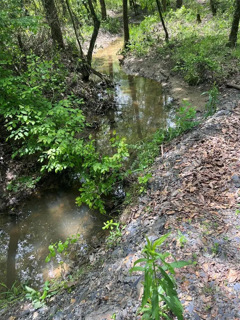 Buffalo Road, Smithville, OK 74957 - #1