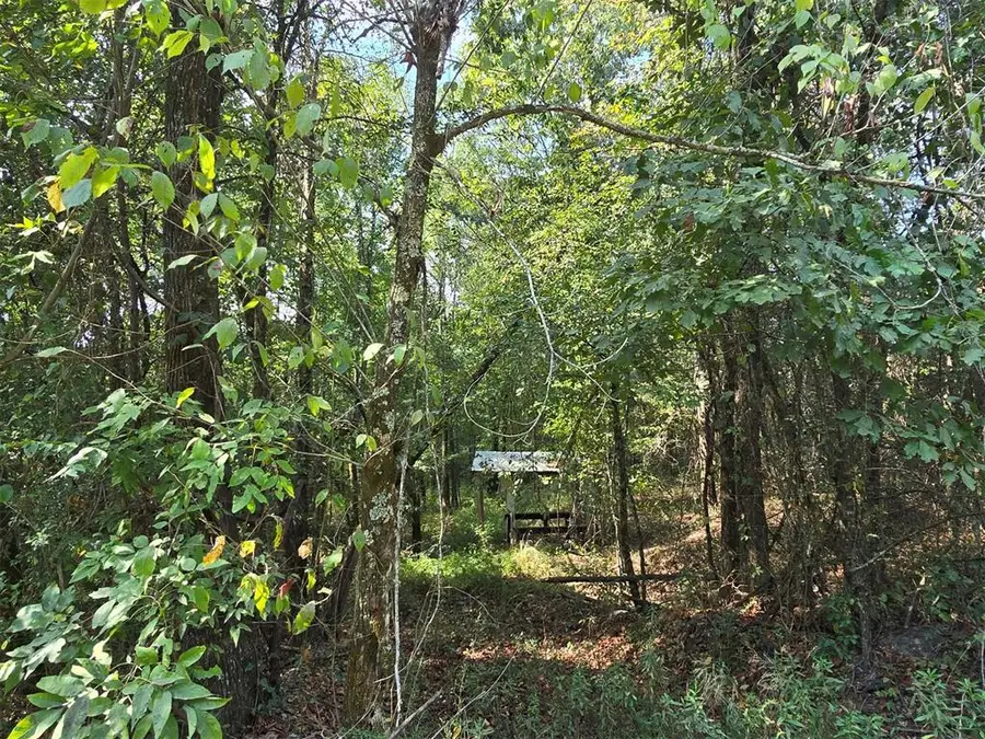 Buffalo Road, Smithville, OK 74957 - #3