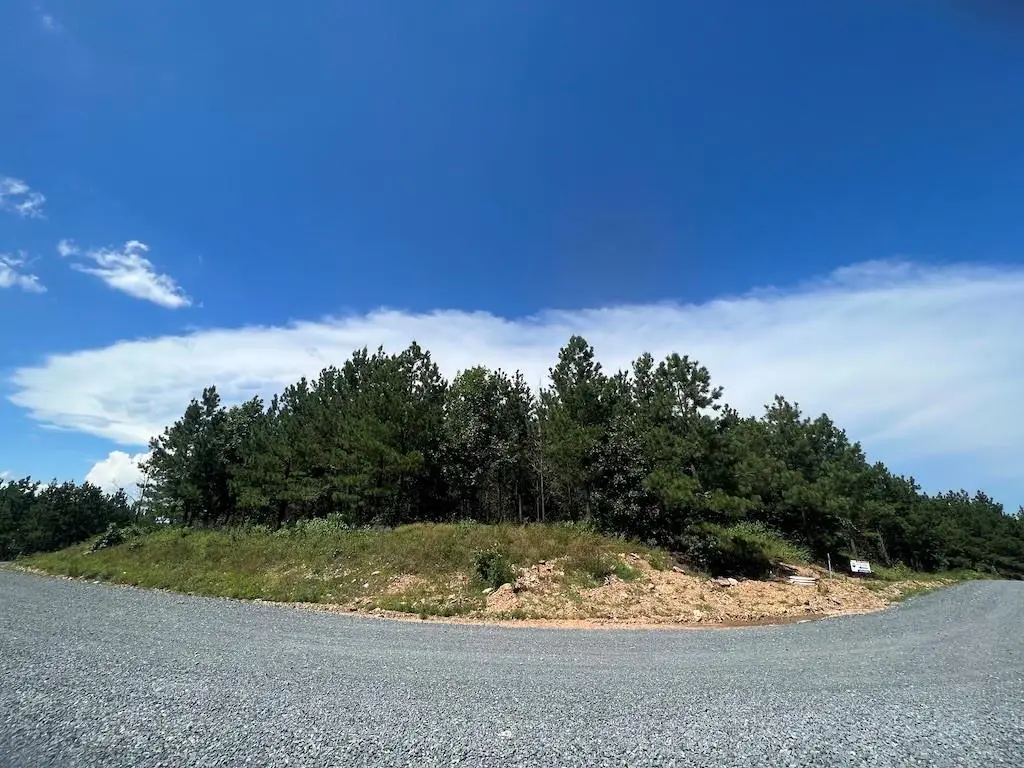 14 Morning Pines Trail, Broken Bow, OK 74728 - #1