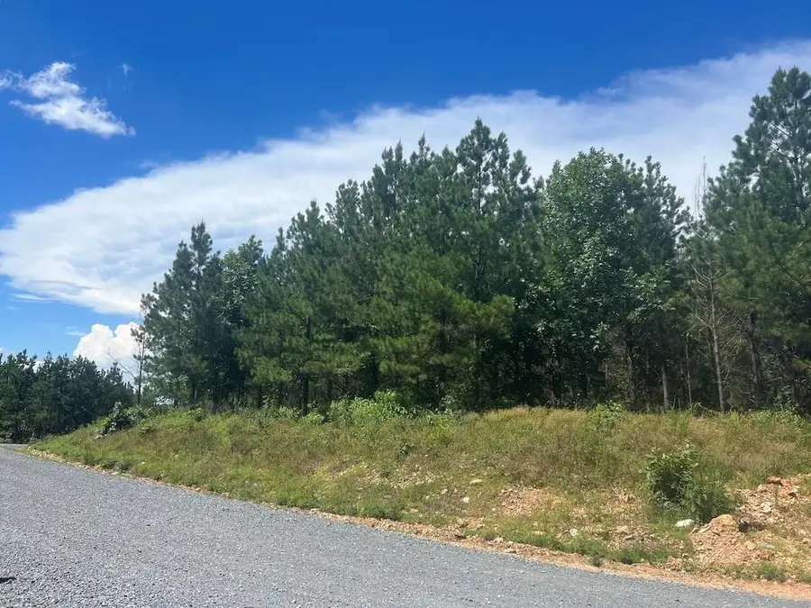 14 Morning Pines Trail, Broken Bow, OK 74728 - #2