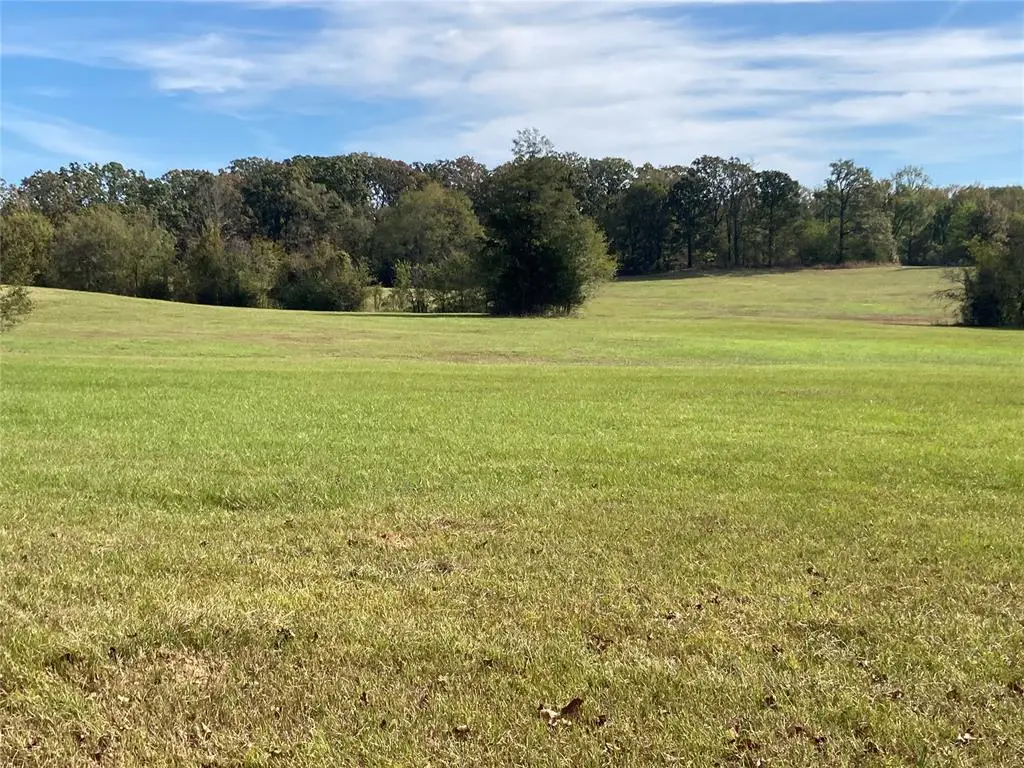 901 Sycamore Bend Loop, Broken Bow, OK 74728 - #1