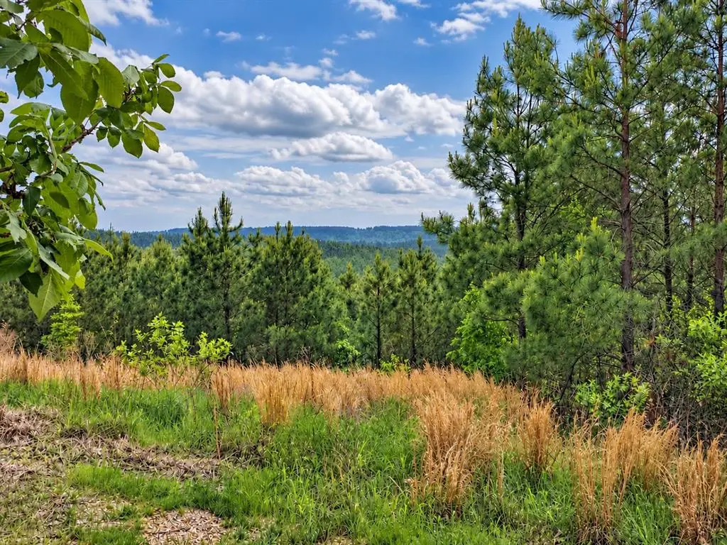 158 Legacy Ridge Trail, Broken Bow, OK 74728 - #1