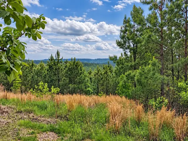 158 Legacy Ridge Trail, Broken Bow, OK 74728