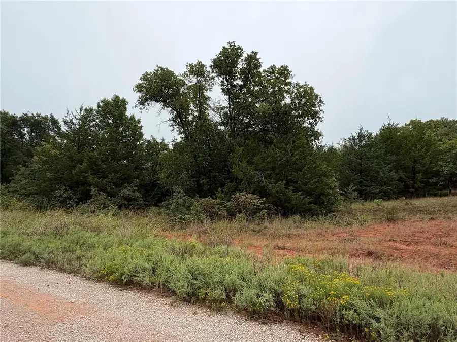 37031 Stone Ridge Drive, Tecumseh, OK 74873 - #2