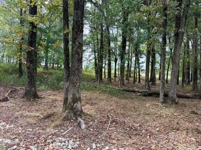 Deer Valley Circle Circle, Broken Bow, OK 74728 - #1
