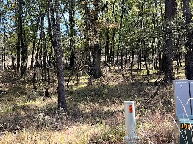 Deer Valley Circle Circle, Broken Bow, OK 74728 - #2