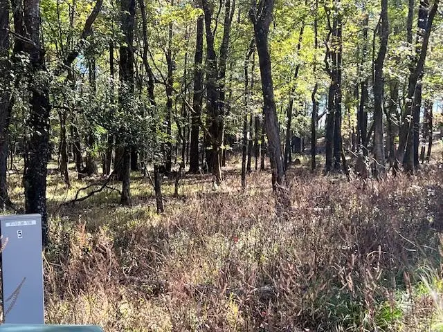 Deer Valley Circle Circle, Broken Bow, OK 74728 - #3