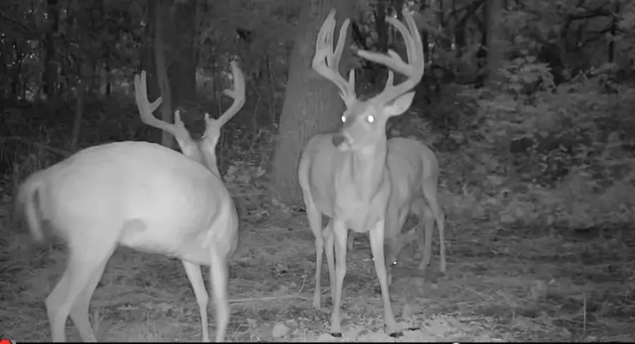 12822 W 80th Street, Coyle, OK 73207 - Image #2