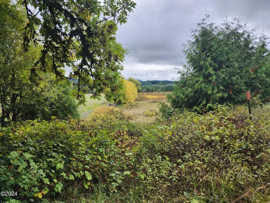 19326 Alsea, Alsea, OR 97324 - #2