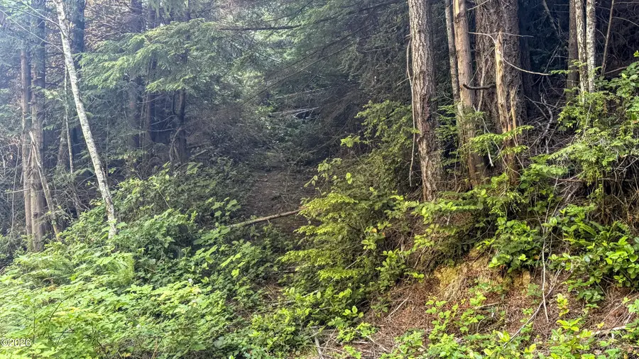 503 E Sudan Creek, Waldport, OR 97394 - #3