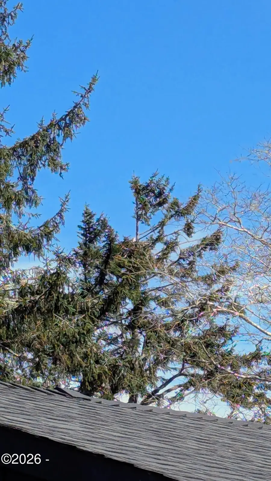 267 SE Tide, Lincoln City, OR 97367 - #3