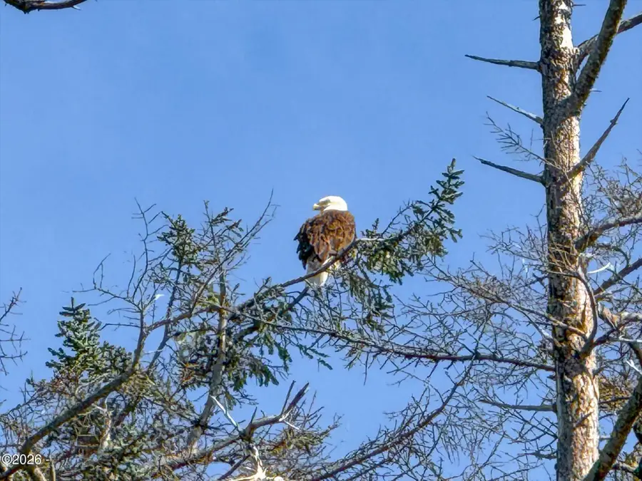 3455 SW Fernwood, Waldport, OR 97394 - #2