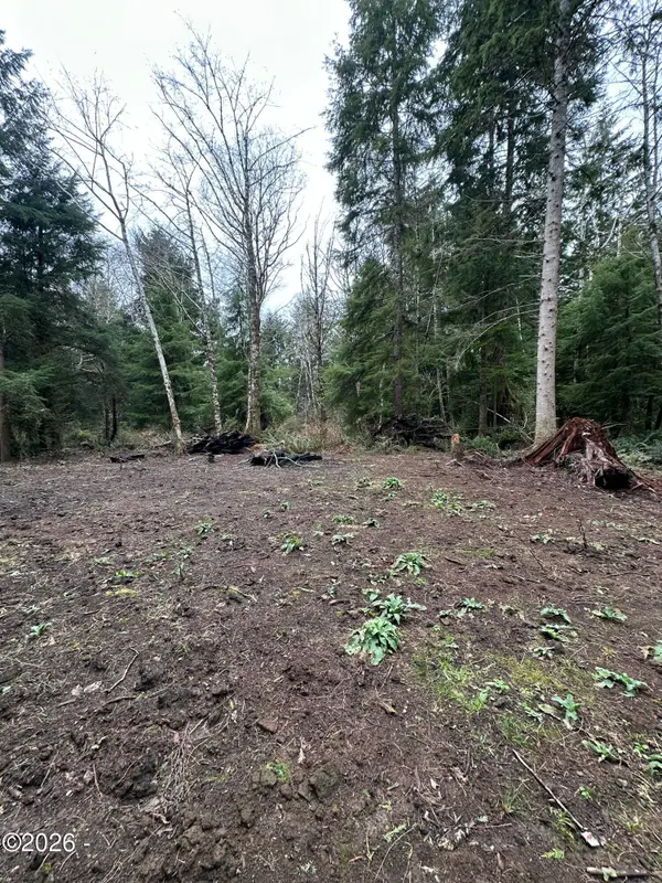 TL #07300 Necarney Ave, Rockaway Beach, OR 97136