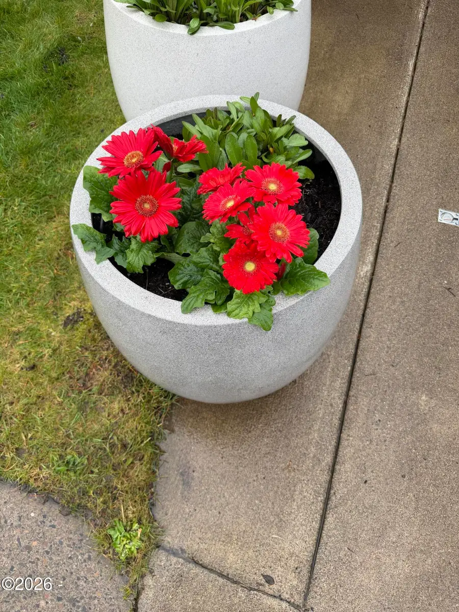 6225 N Coast, Newport, OR 97365 - #3