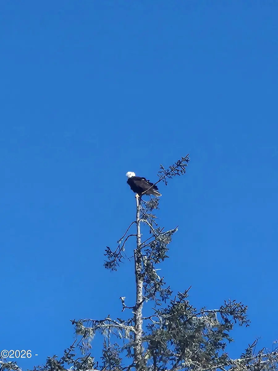 267 SE Tide, Lincoln City, OR 97367 - #2