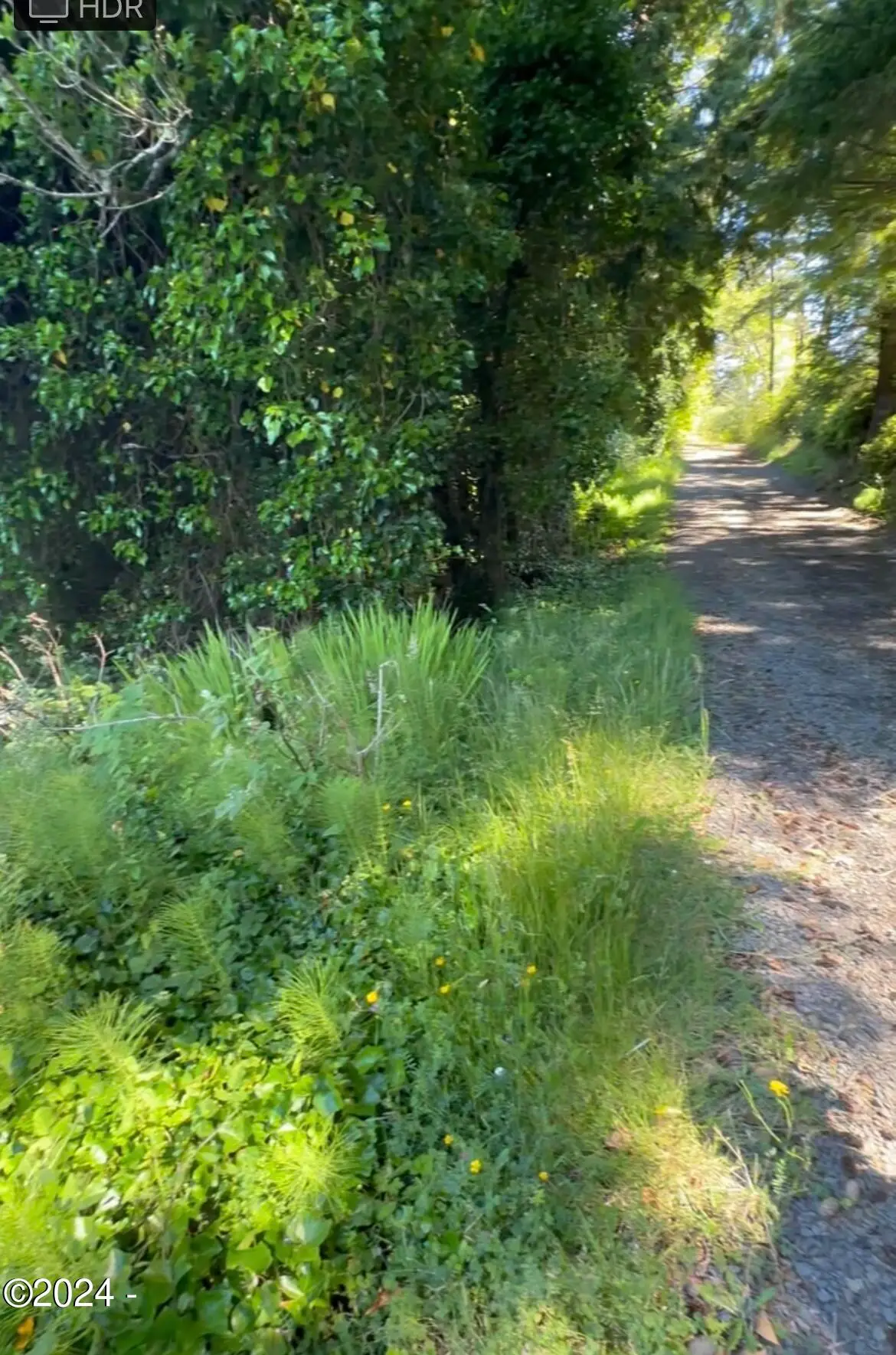 TL 2601 SW Dune, Lincoln City, OR 97367 - #1