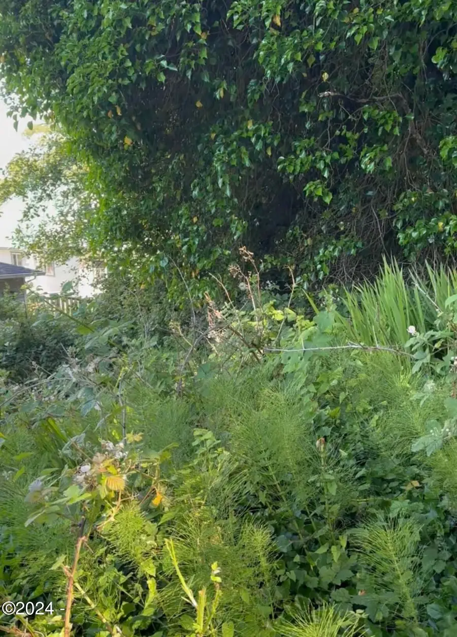 TL 2601 SW Dune, Lincoln City, OR 97367 - #3