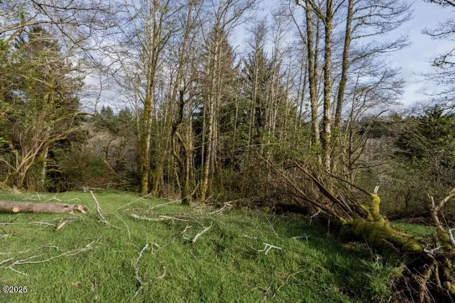 3045 Elderberry, Otis, OR 97368 - #2