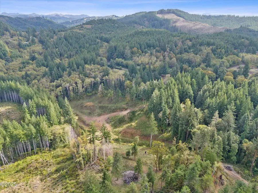 VL Pioneer Mountain, Toledo, OR 97391 - #3