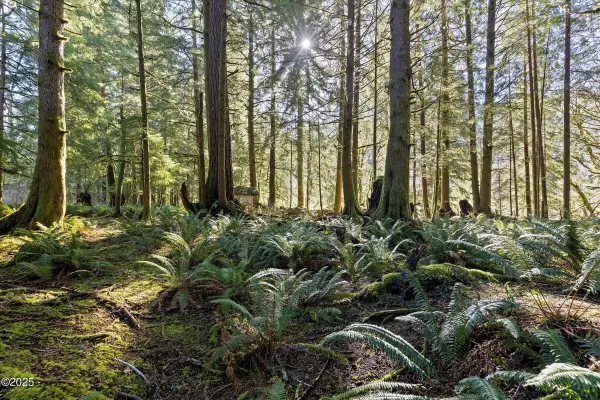 TL 2700 N Stockton Road, Otis, OR 97368