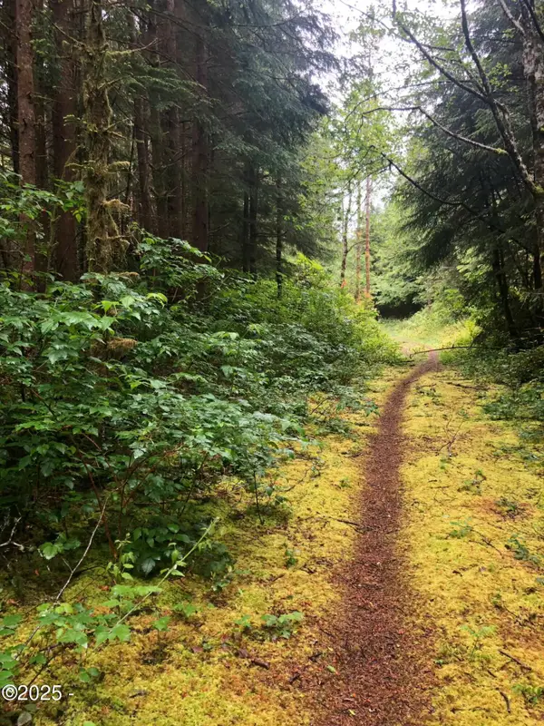 TL 500 SE Chittum, South Beach, OR 97366