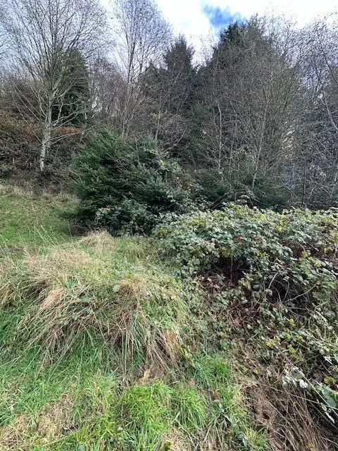 Grant, Rockaway Beach, OR 97136 - #1