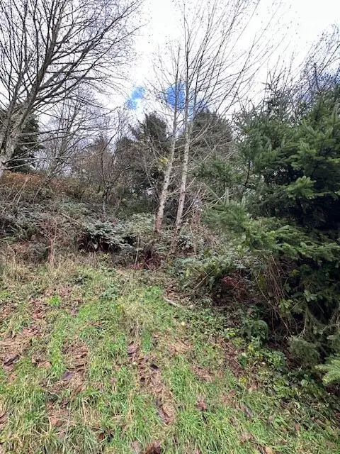 Grant, Rockaway Beach, OR 97136 - #2