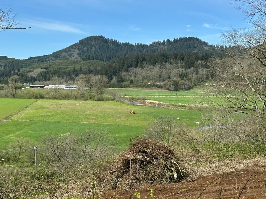 TL#00200 Highway 101 S, Cloverdale, OR 97112 - #3