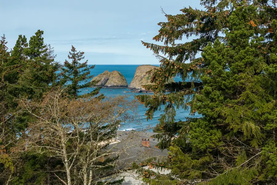 6 Pinewood, Oceanside, OR 97141 - #3