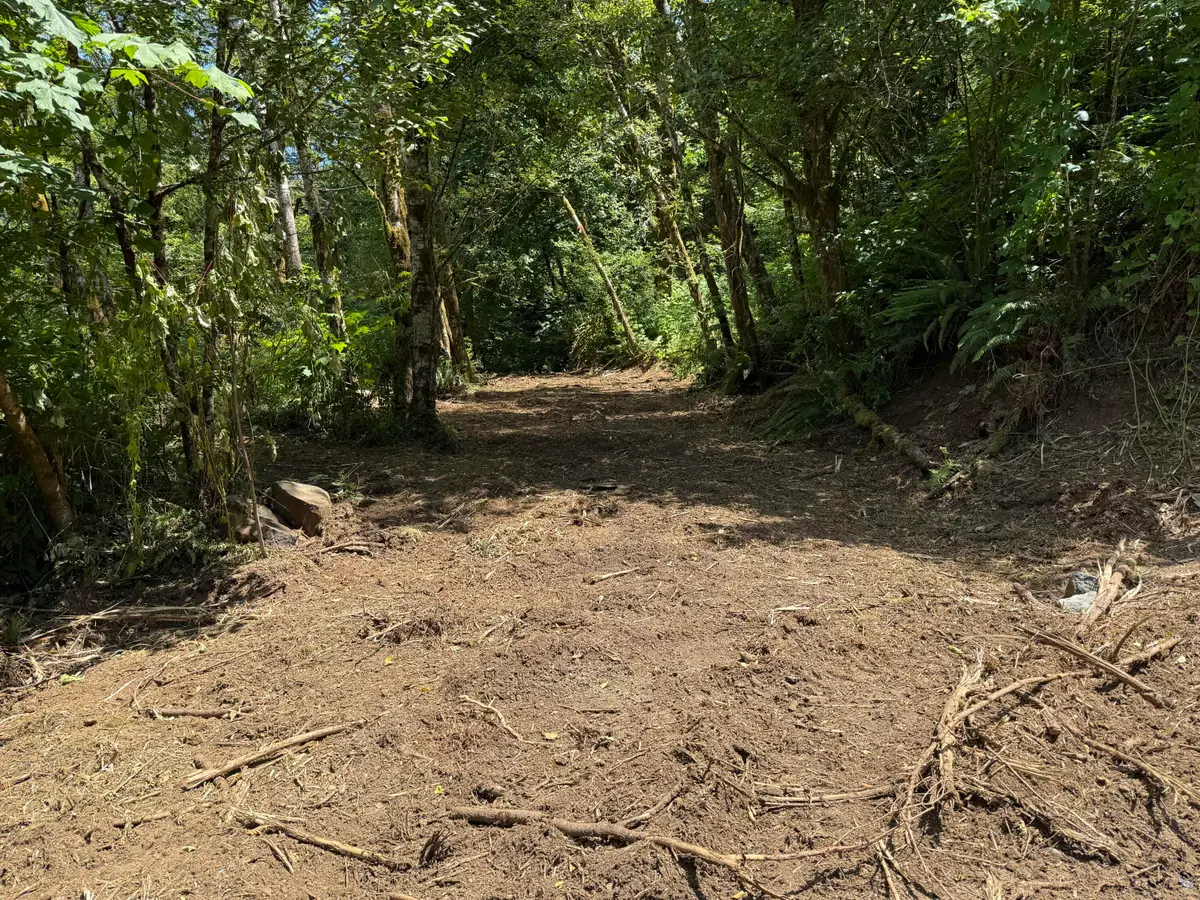 TL# 02100 Wilson River, Tillamook, OR 97141 - #1